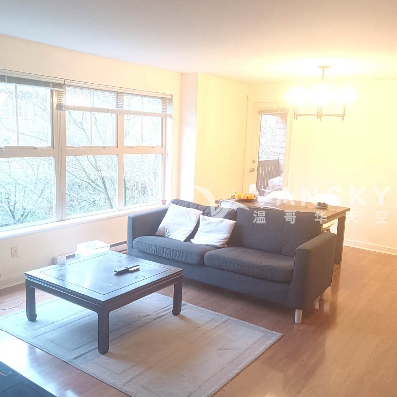 250504184719_living room.jpg